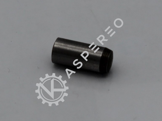 Indicator Pin