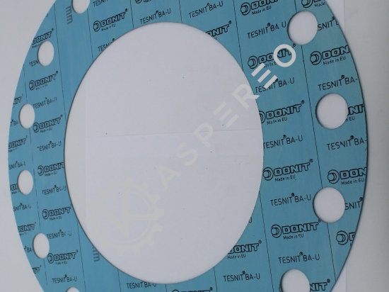 gasket conection 10"