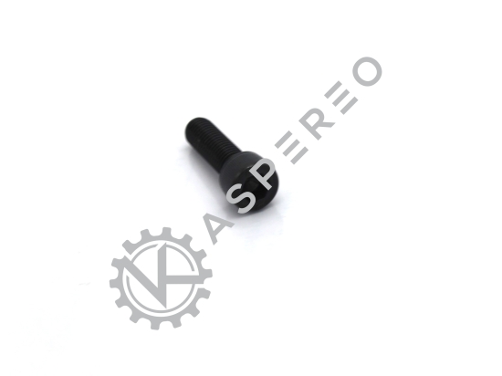 HEXAGON SCREW