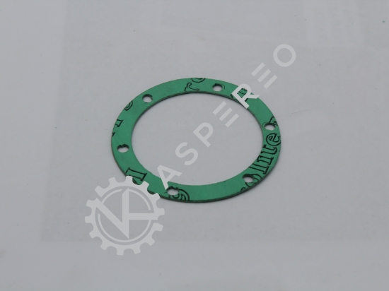 Gasket Flat T/SMC