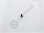 Grub Screw