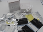 Service Kit Shaft seal CMO MK2/3