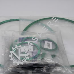 Gasket set  for body RC-*9