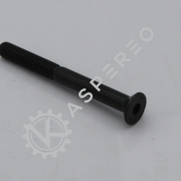 hex screw CHC M5X55 10.9