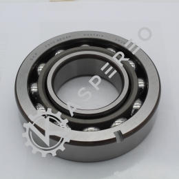 Bearing ball SKF7313