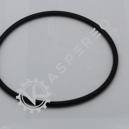 O ring