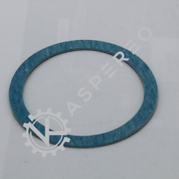 Gasket (discharge)