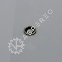 Gasket dowty seal 1/4- bsp
