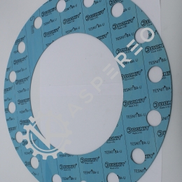 gasket conection 10"