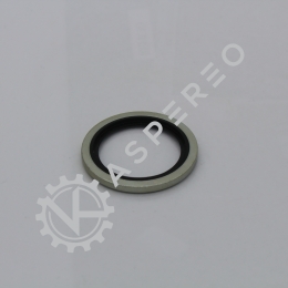 Gasket dowty seal 1/0- bsp