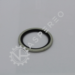 Gasket dowty seal 1 1/4- bsp