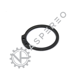 Circlip