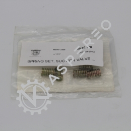 SPRING SET, SUCTION VALVE A,2