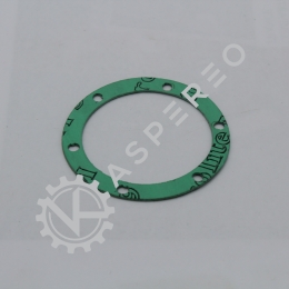 Gasket Flat T/SMC