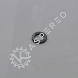 Nord.lock washer