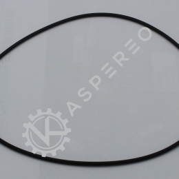 INDUCTION MANIFOLD O. RING