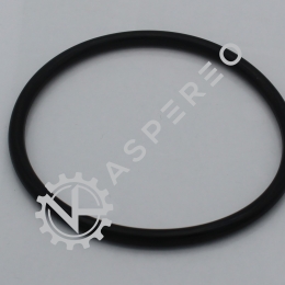 INDUCTION MANIFOLD O. RING