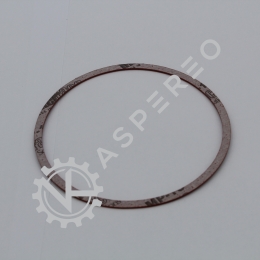 Gasket sealing plug 'LFI