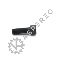 HEXAGON SCREW