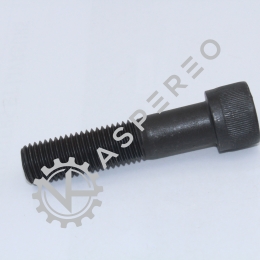 HEXAGON SCREW